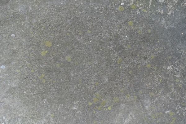 Cost of Slab Staining Service in Zionsville